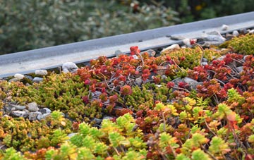 the cost of Aylesford green roof installation