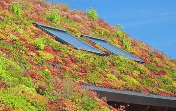 Aylesford living roof systems